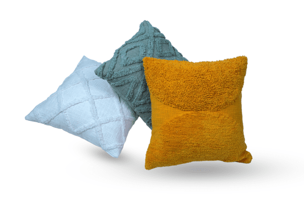 Kshauma Tufted Cushion