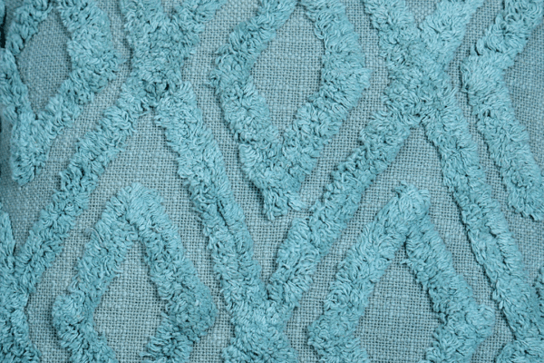 Kshauma Tufted Cushion
