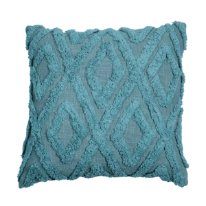 Kshauma Tufted Cushion